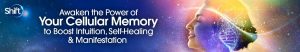 Marie Manuchehri - Awaken the Power of Your Cellular Memory to Boost Intuition, Self-Healing & Manifestation 2023