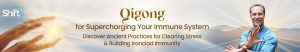 Lee Holden - Qigong for Supercharging Your Immune System 2024